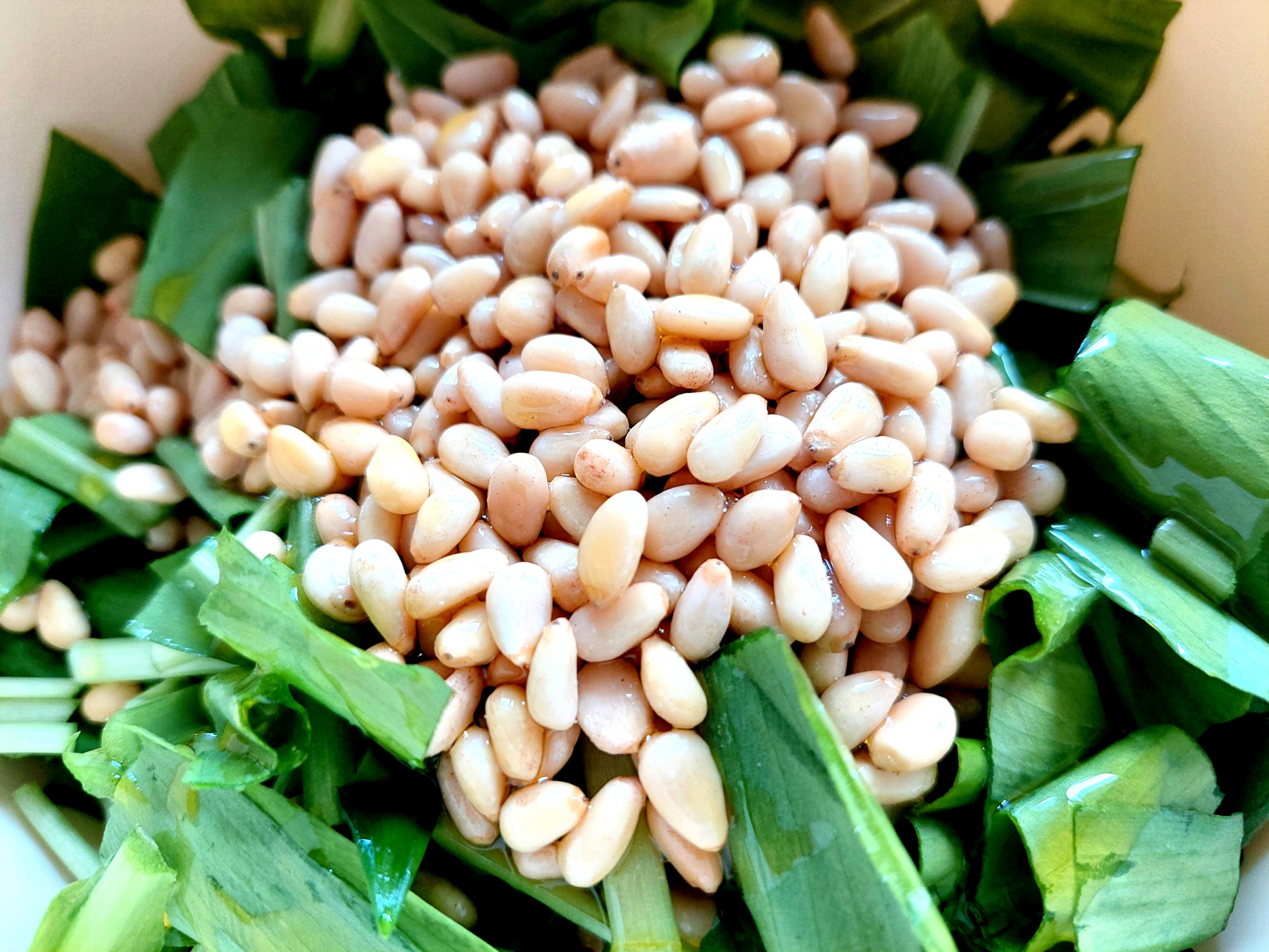 Wieso wird Pesto bitter? Rezept BärlauchPesto Pretty You