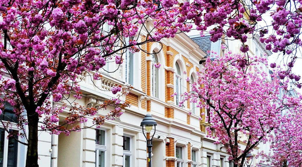 Hausfassade_Worauf kommt es an